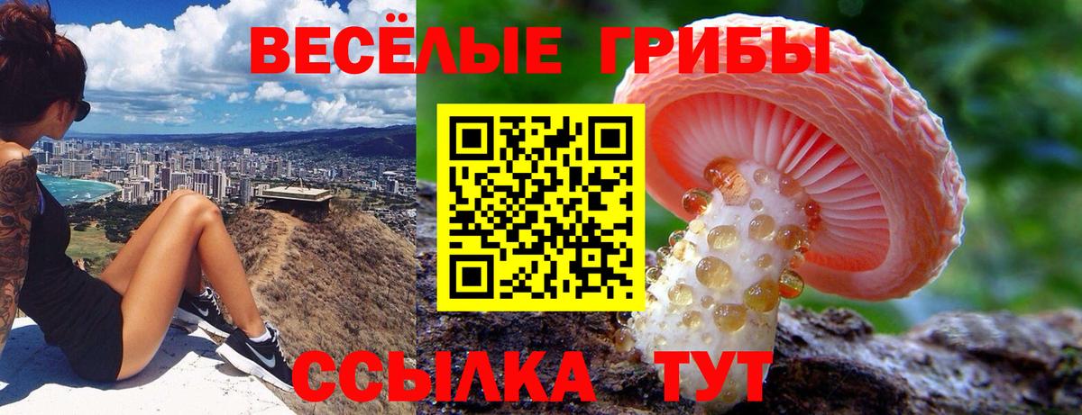 Псилоцибиновые грибы прущие грибы Черняховск